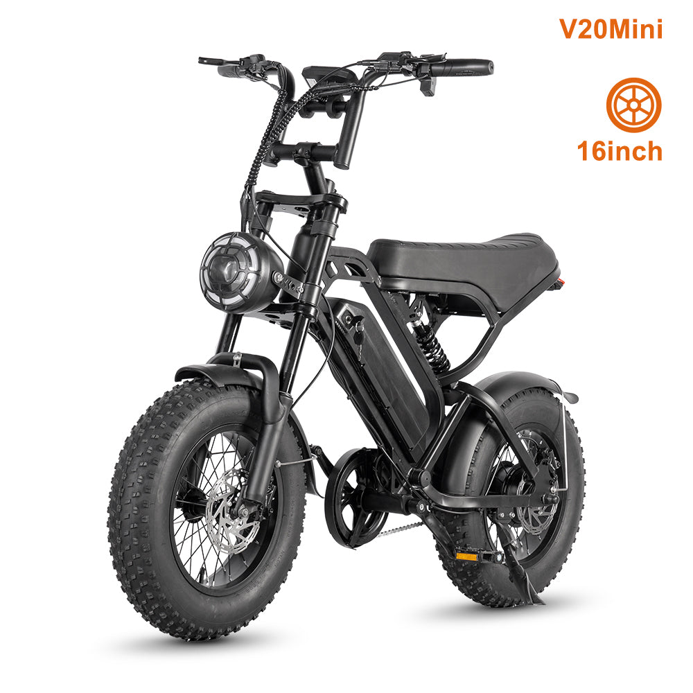 LAGADS V20mini ebike