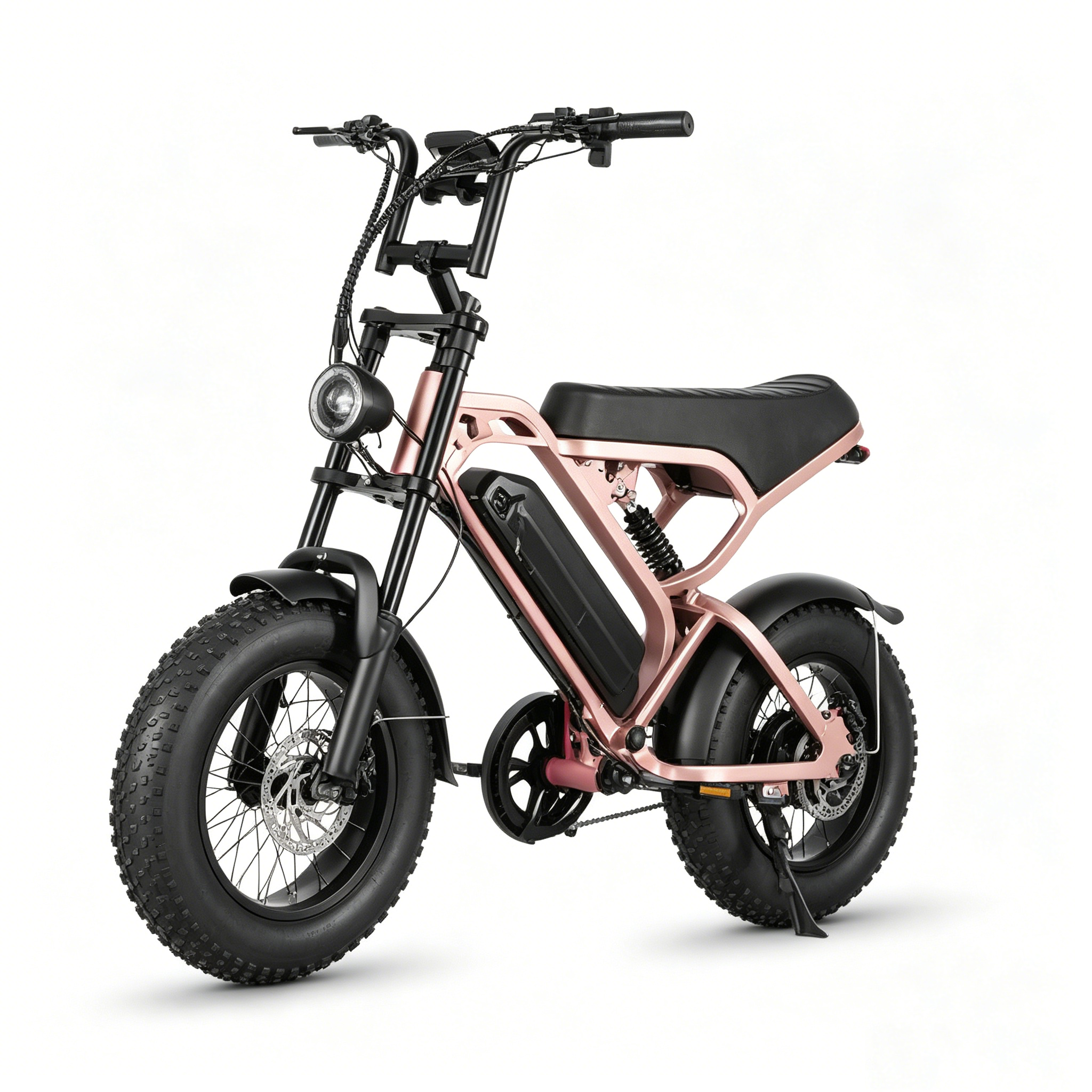 LAGADS V20mini ebike
