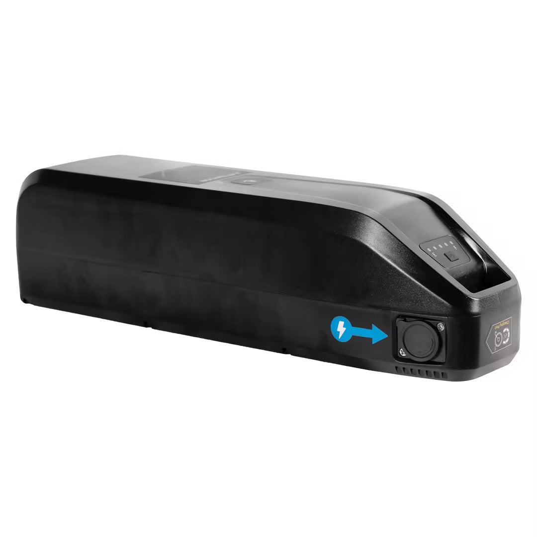 V20pro/H9/V20 mini Battery 48V15.6AH