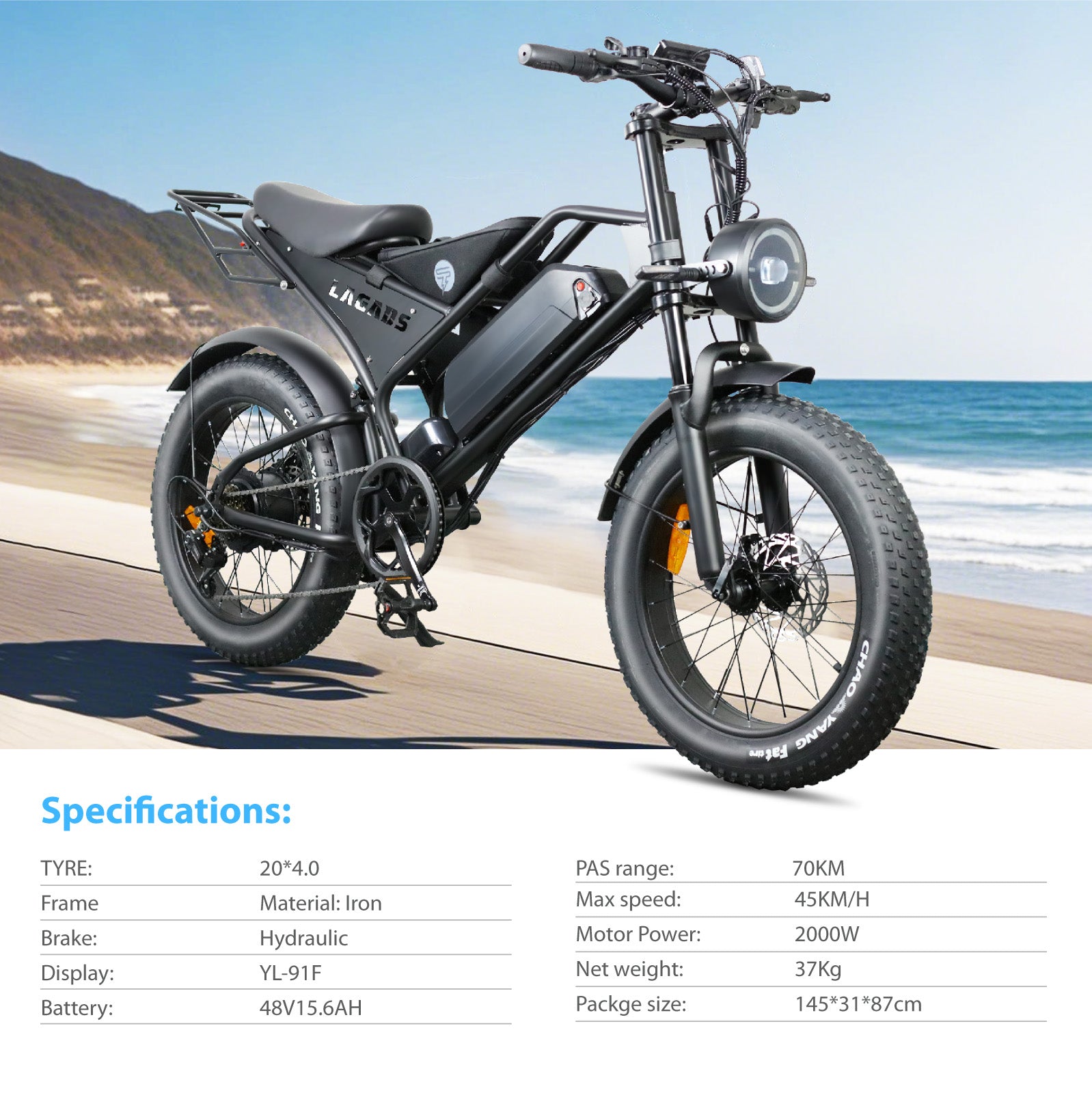 LAGADS DK401 Electric Bicycle