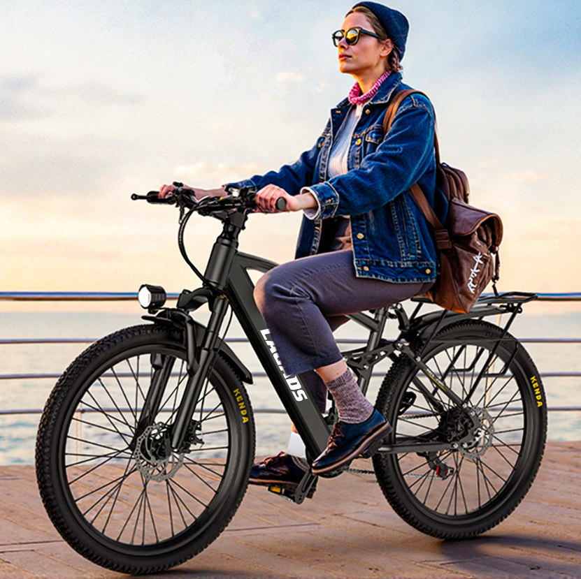 LAGADS Y29 ebike