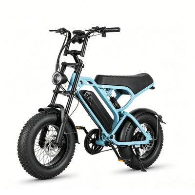 LAGADS  V20mini ebike