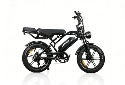 LAGADS V20pro  Electric Commuter Bike