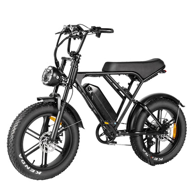 LAGADS H9  Electric Bicycle