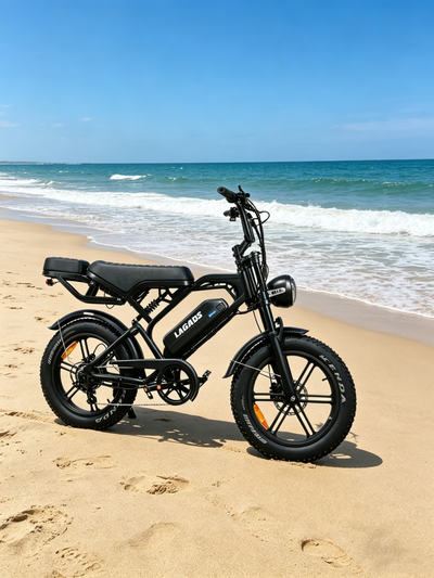 LAGADS V20pro  Electric Commuter Bike