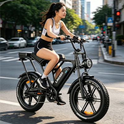 LAGADS H9pro  Electric Bicycle