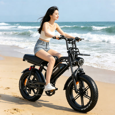 Lagads  V20Plus  Electric Bike