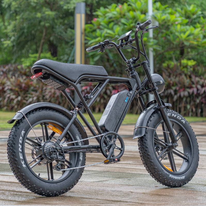 LAGADS H9  Electric Bicycle