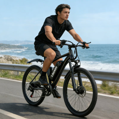 Lagads Y26air Electric Bike