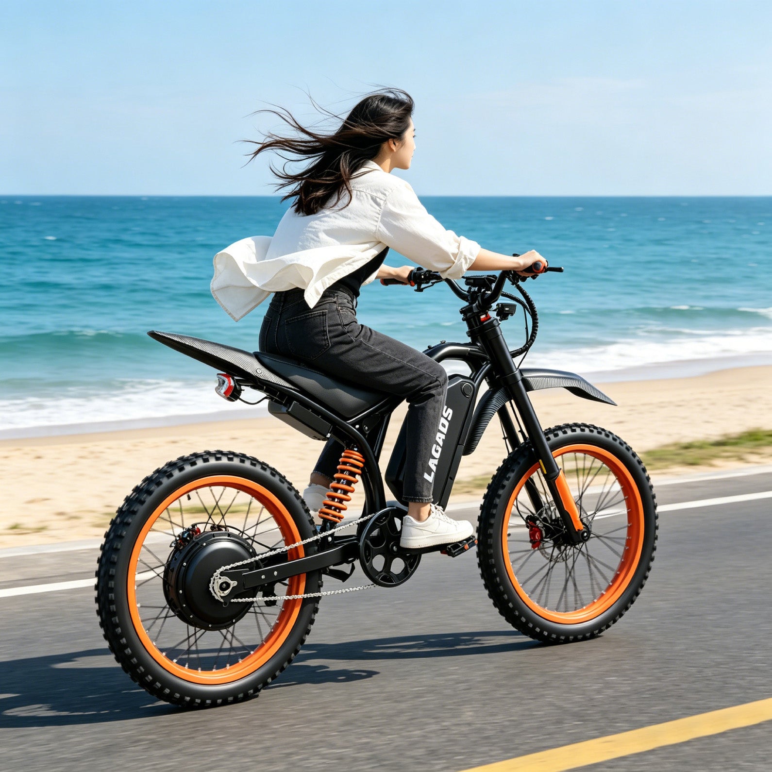 LAGADS spotrs ebike JD20 Max