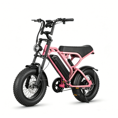 LAGADS  V20mini ebike