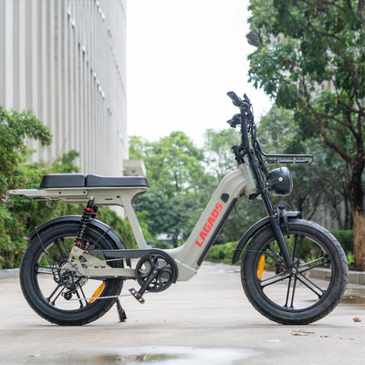 LAGADS D50 Electric Commuter Bike