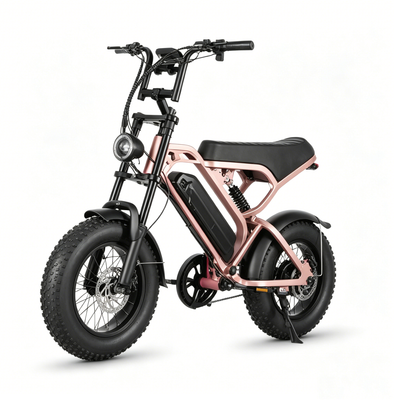 LAGADS  V20mini ebike