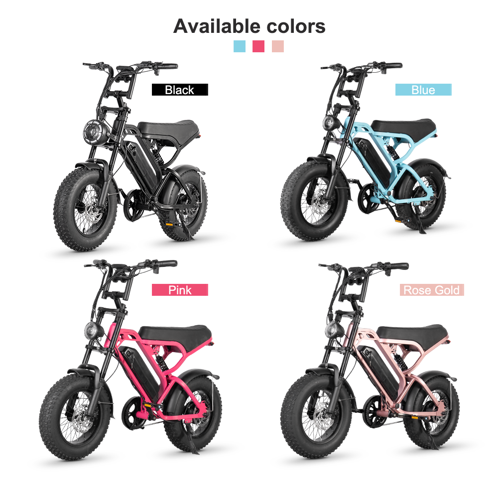 LAGADS  V20mini ebike