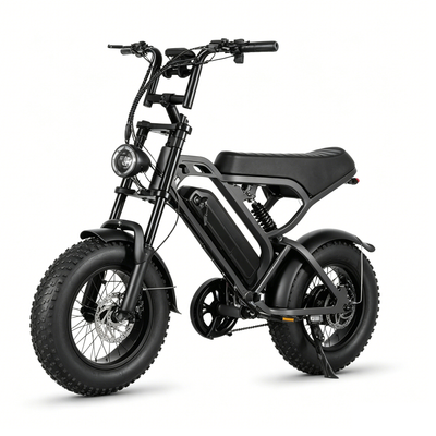LAGADS  V20mini ebike