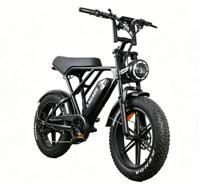 LAGADS H9  Electric Bicycle