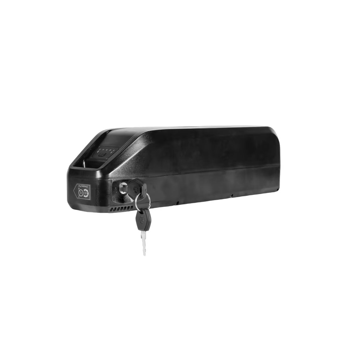 V20pro/H9/V20 mini Battery   48V15.6AH