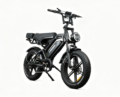 LAGADS V20pro  Electric Commuter Bike