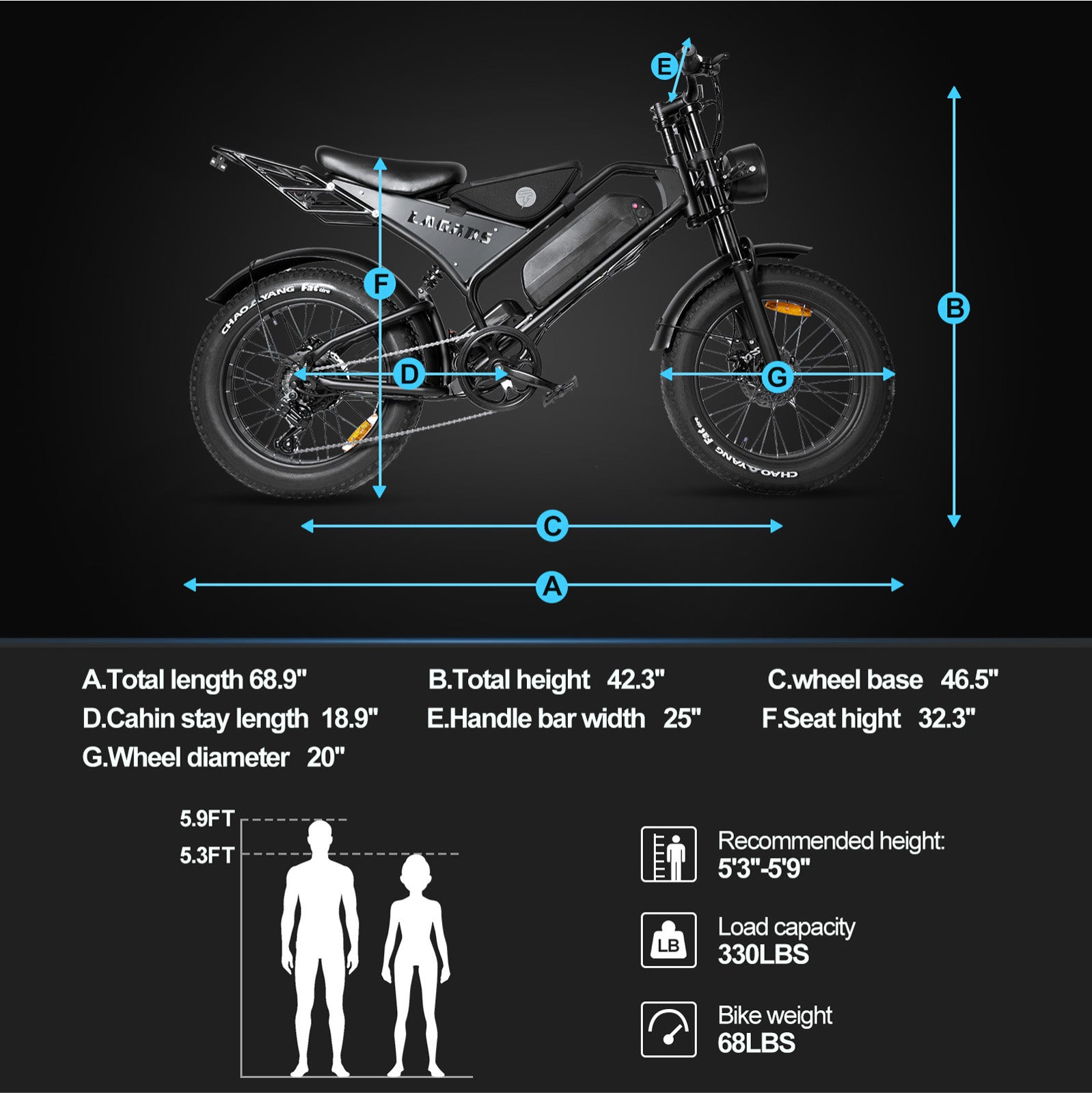 LAGADS DK401  Electric Bicycle