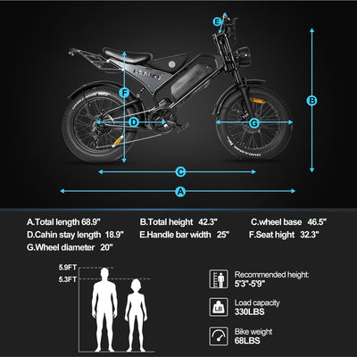 LAGADS DK401  Electric Bicycle