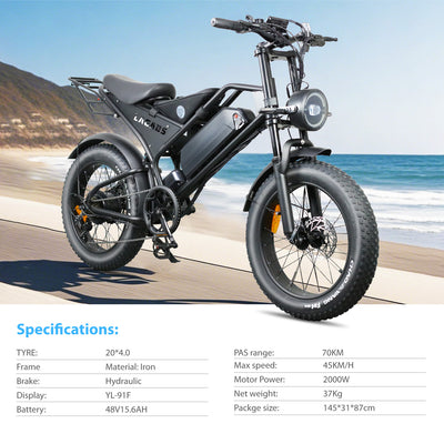 LAGADS DK401  Electric Bicycle