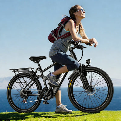 LAGADS Y29 ebike