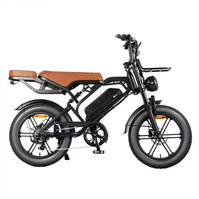 LAGADS V20pro  Electric Commuter Bike