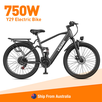 LAGADS Y29 ebike